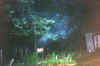 ghrabbit.jpg (73797 bytes)