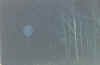 globe1.jpg (48454 bytes)