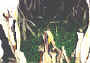 ovcrop6b.jpg (91864 bytes)
